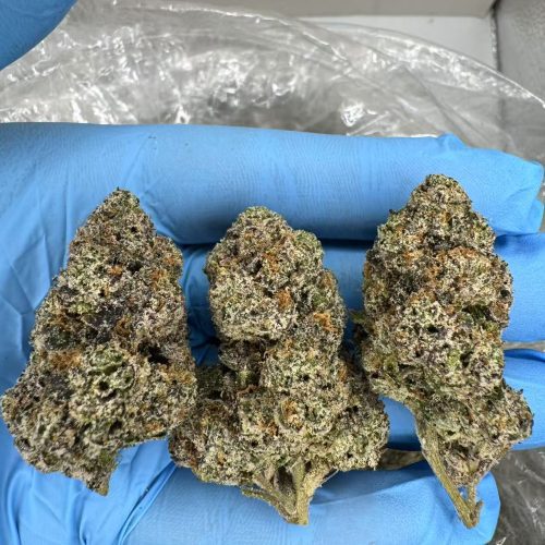 CODEINE CANDY-D155