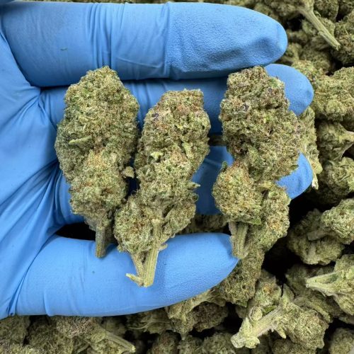 BERRY WHITE-D